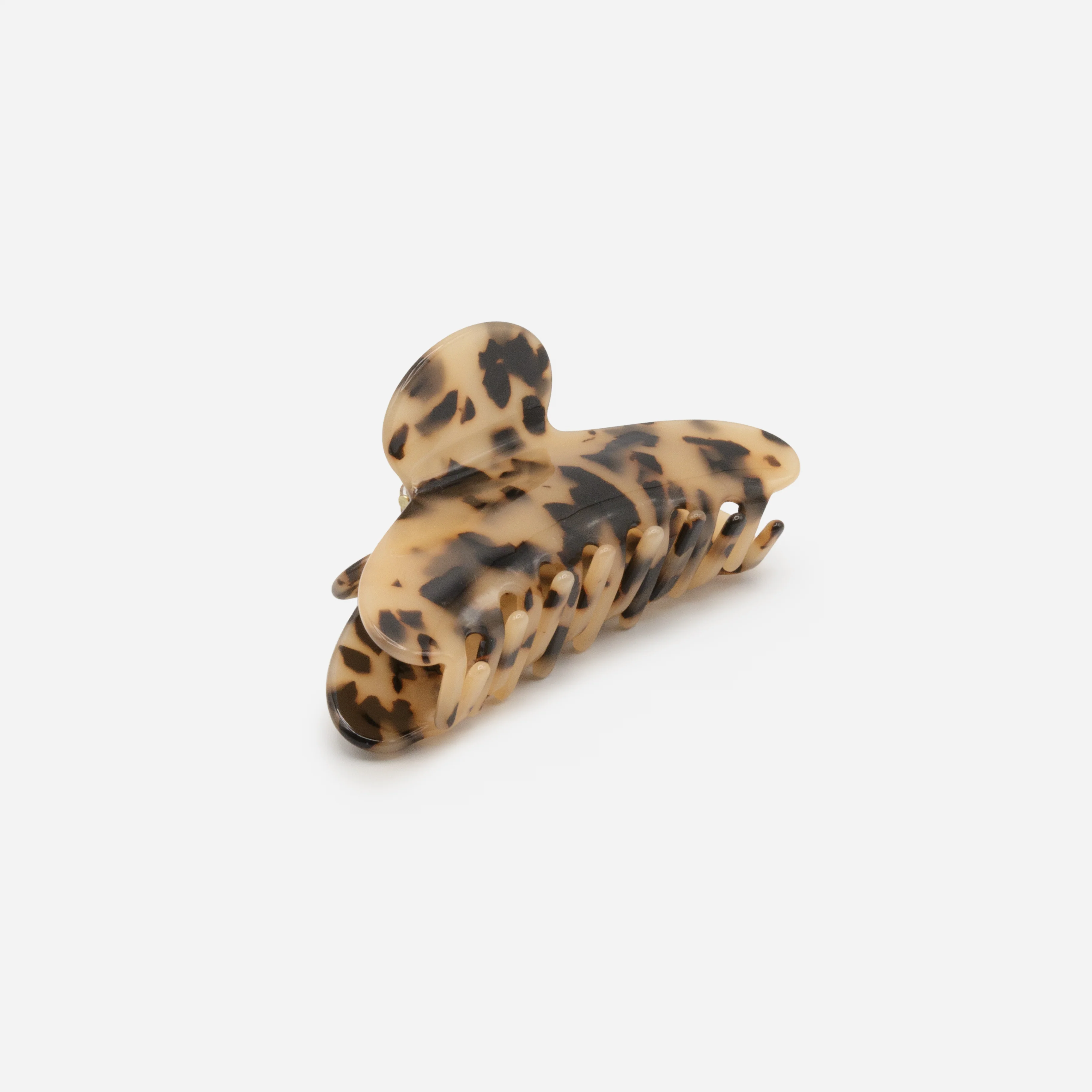 Très grande pince tortoise - Image 3